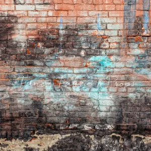 New Orleans Brick Wall - Petite