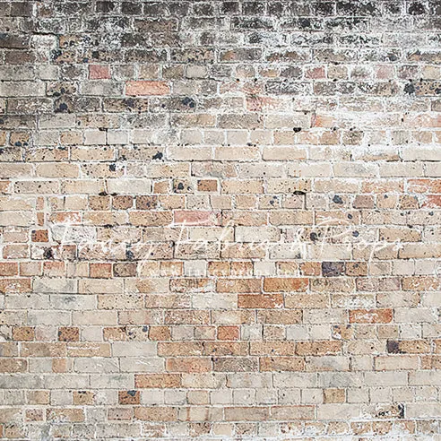 Reno Brick Wall - Petite