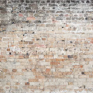 Reno Brick Wall - Petite