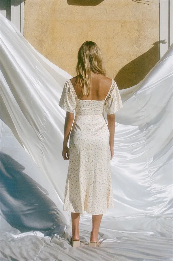 Silky Zamia Dress