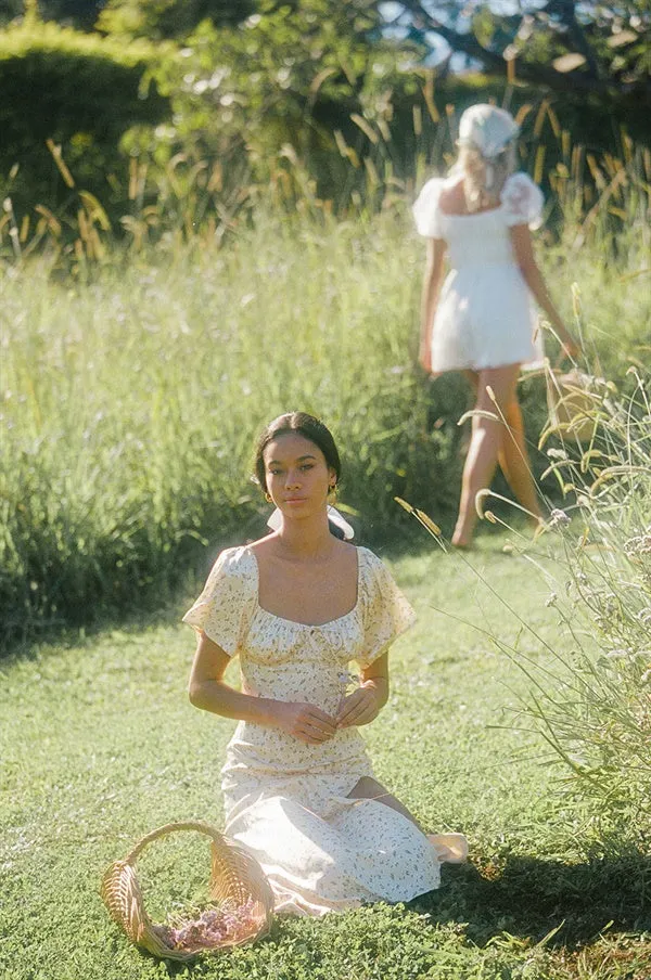 Silky Zamia Dress