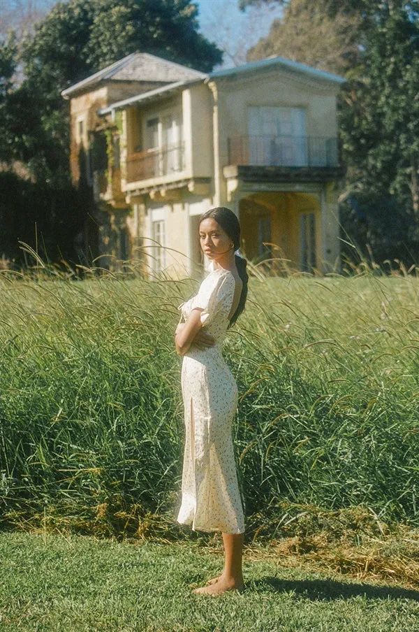 Silky Zamia Dress