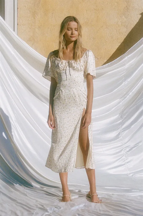 Silky Zamia Dress