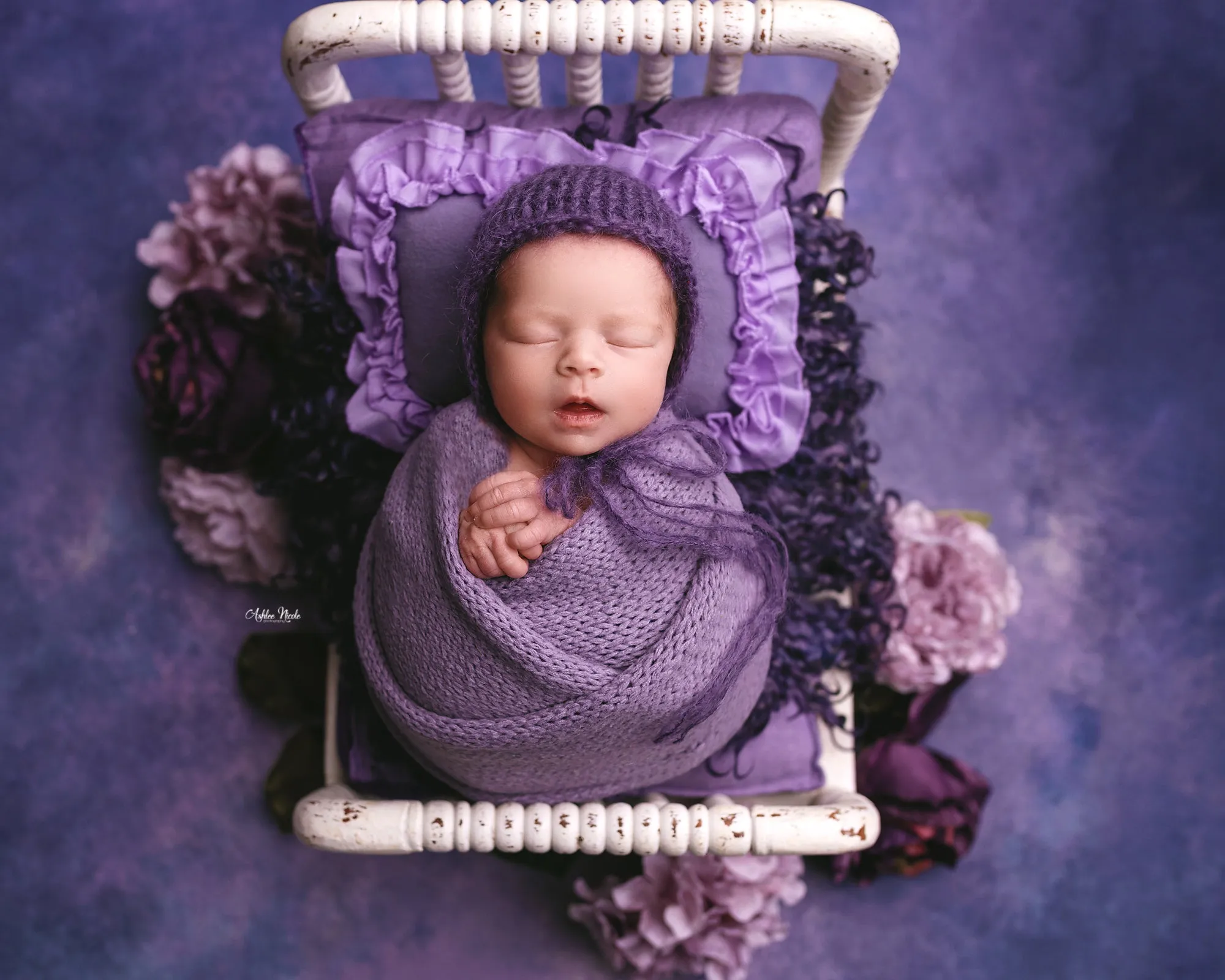 Violaceous - Petite